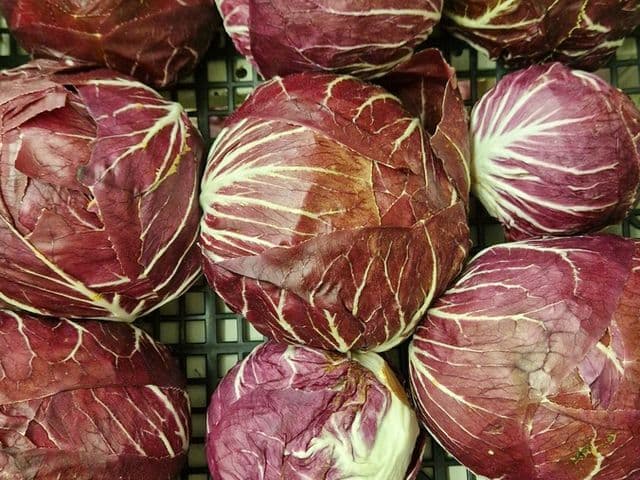 Radicchio