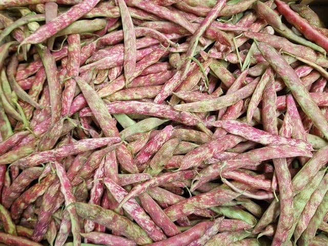 Fagioli borlotti
