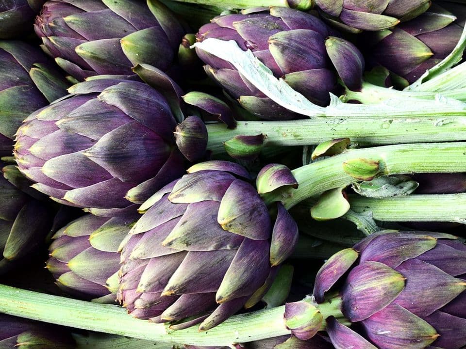 mazzo di carciofi biologici
