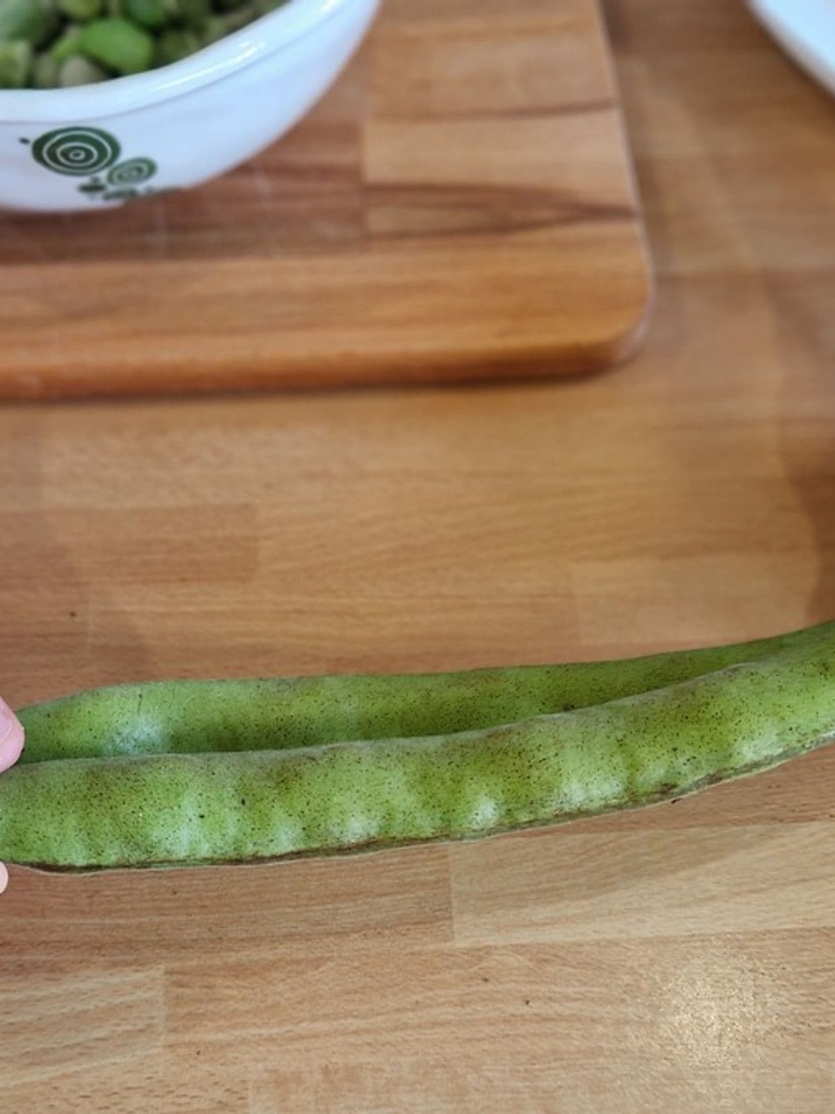 baccelli di fave fresche