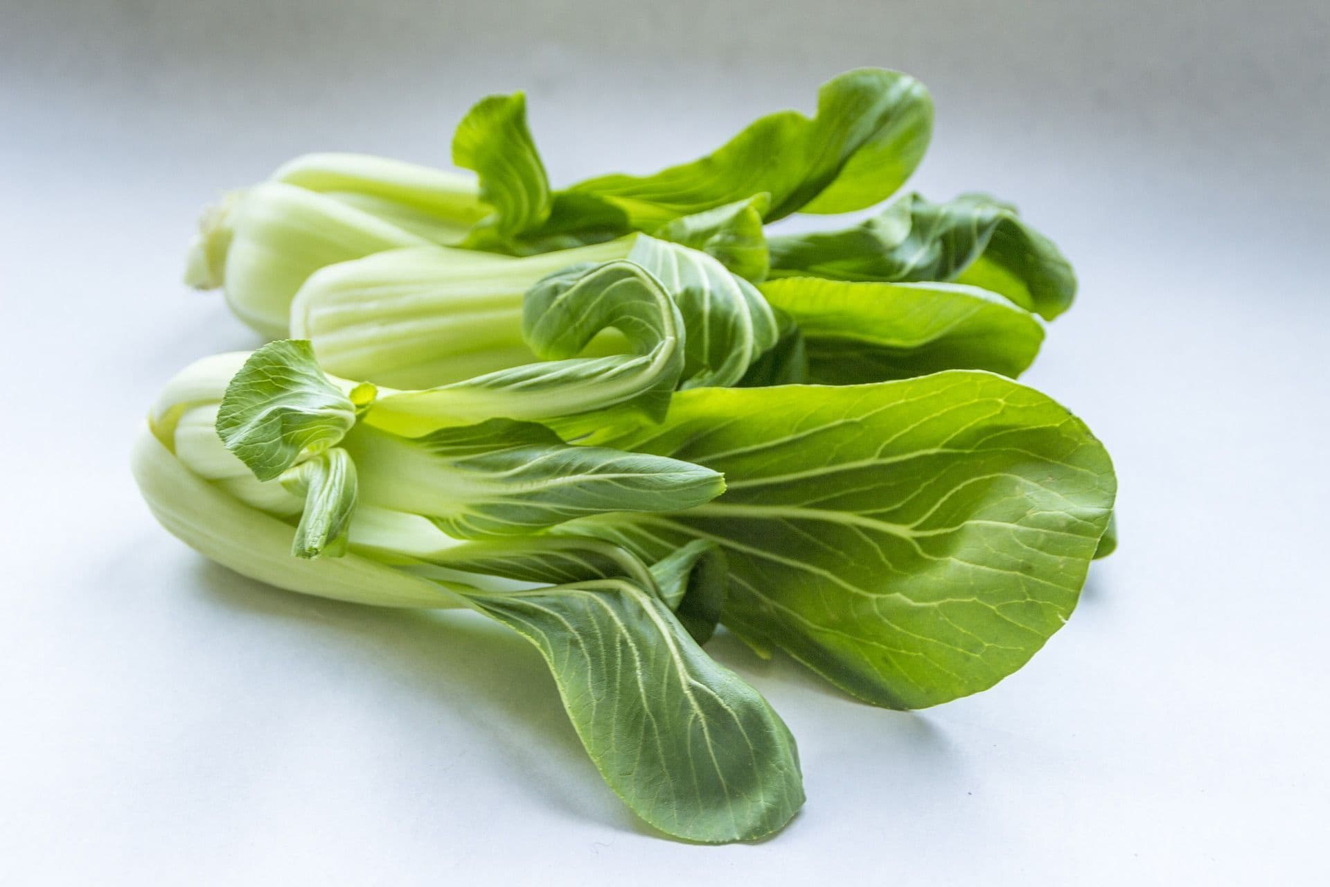 pak-choi-1.jpg