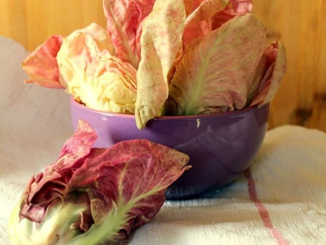 Radicchio rosa salmonato