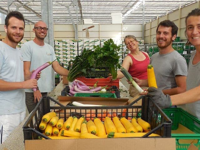 Team cortobio durante la preparazione delle cassette