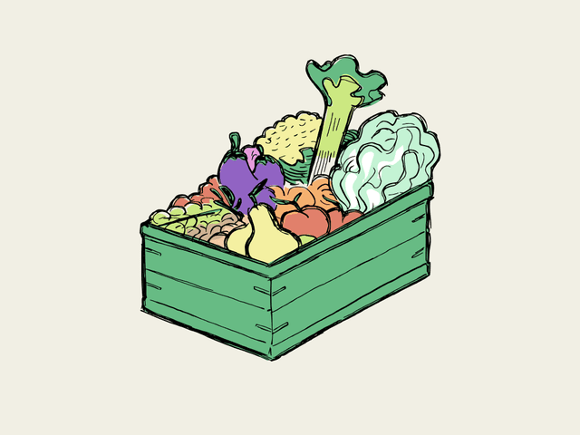 Illustrazione cassetta di frutta e verdura biologica