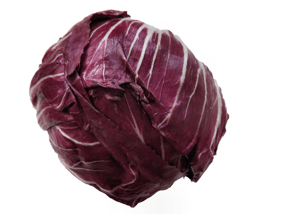 radicchio tondo