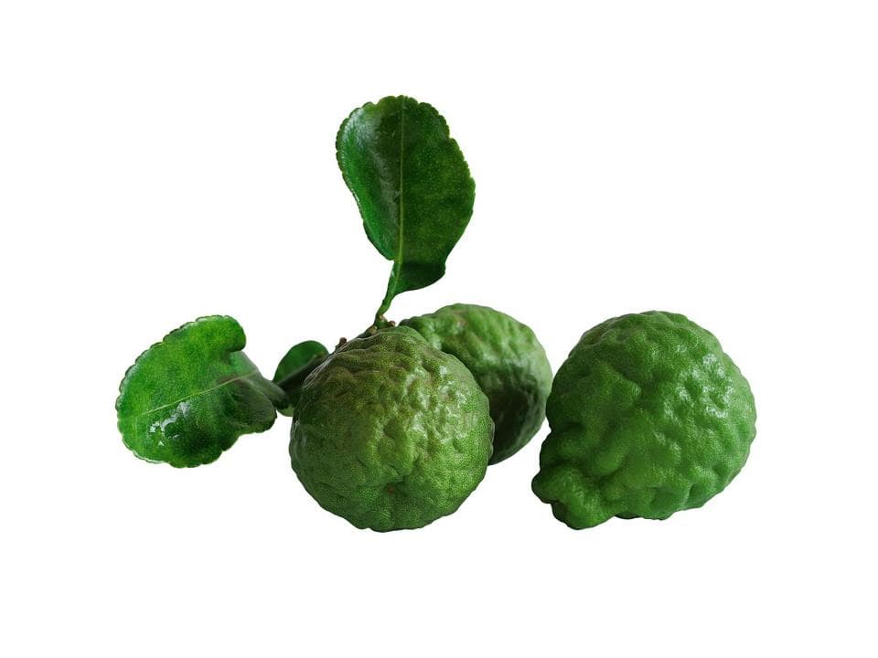 Bergamotti biologici