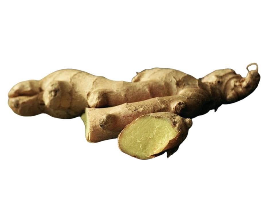 Zenzero biologico