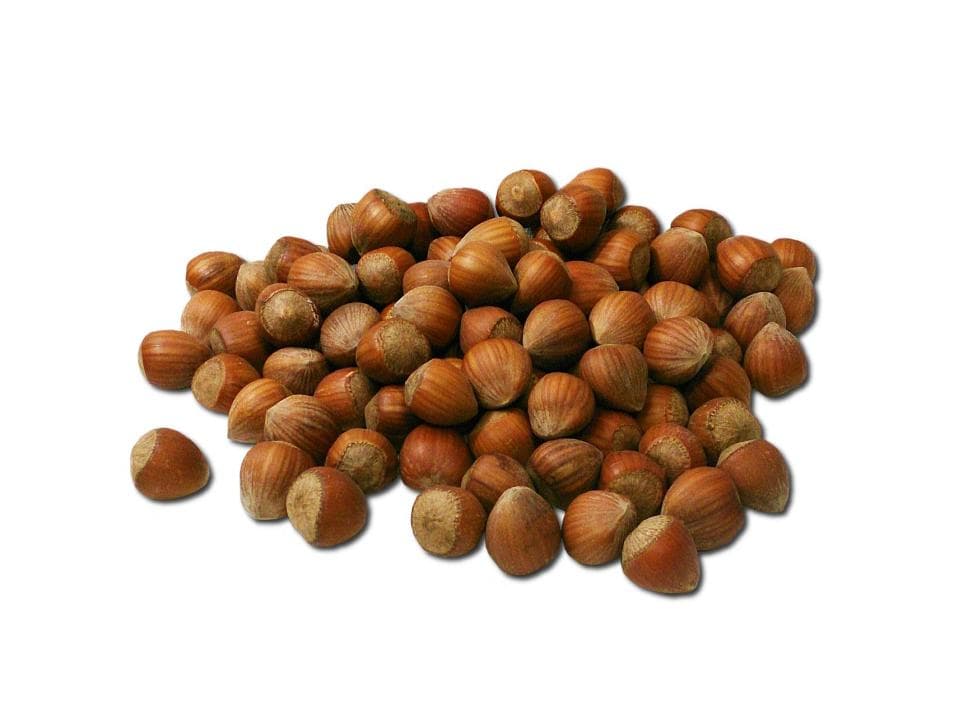 Nocciole con guscio biologiche
