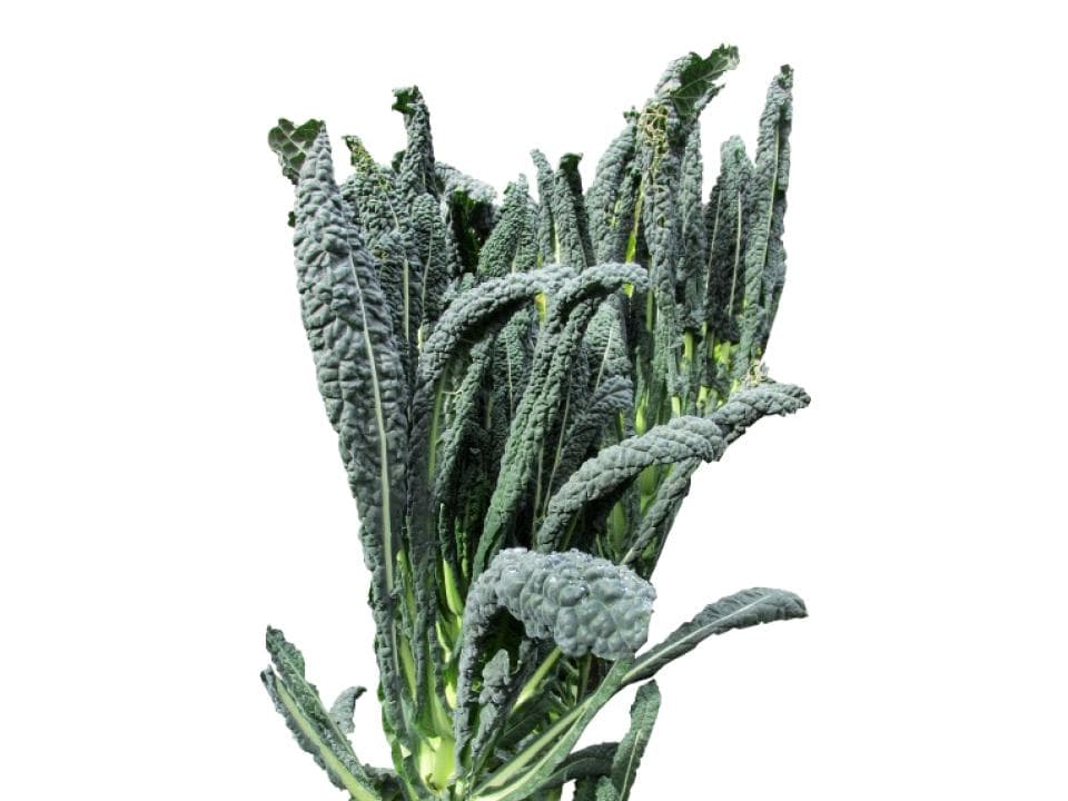 Cavolo nero biologico