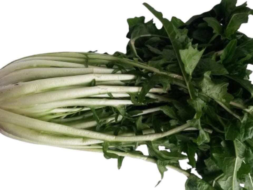 Cicoria a puntarelle biologica