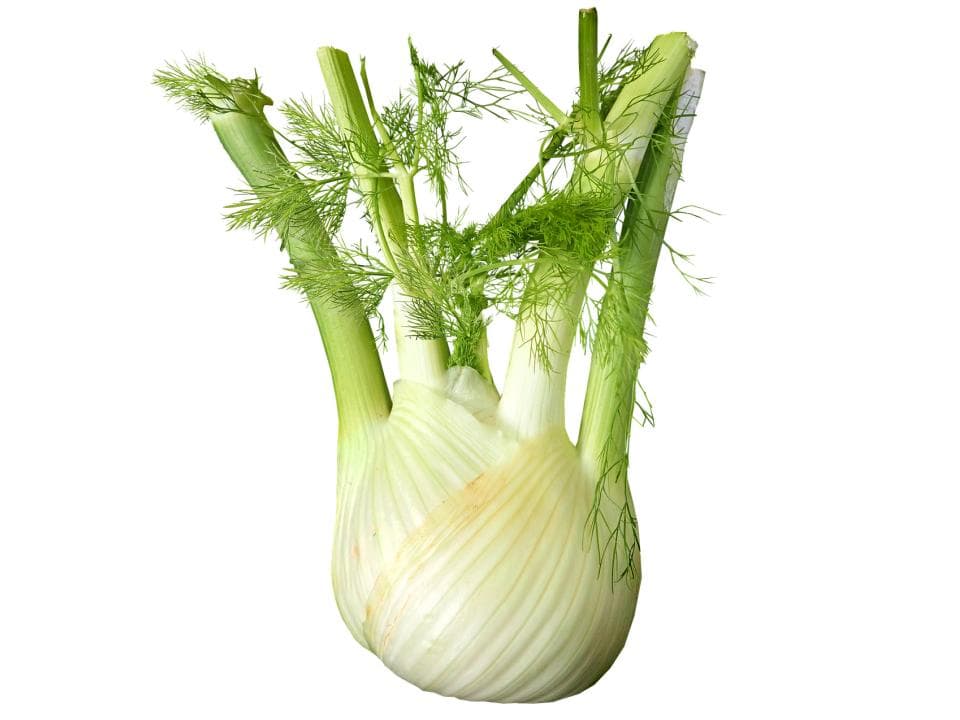Finocchio biologico