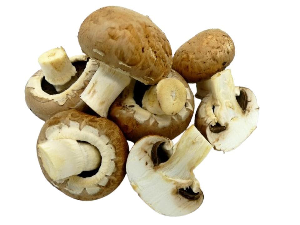 Funghi champinion biologici