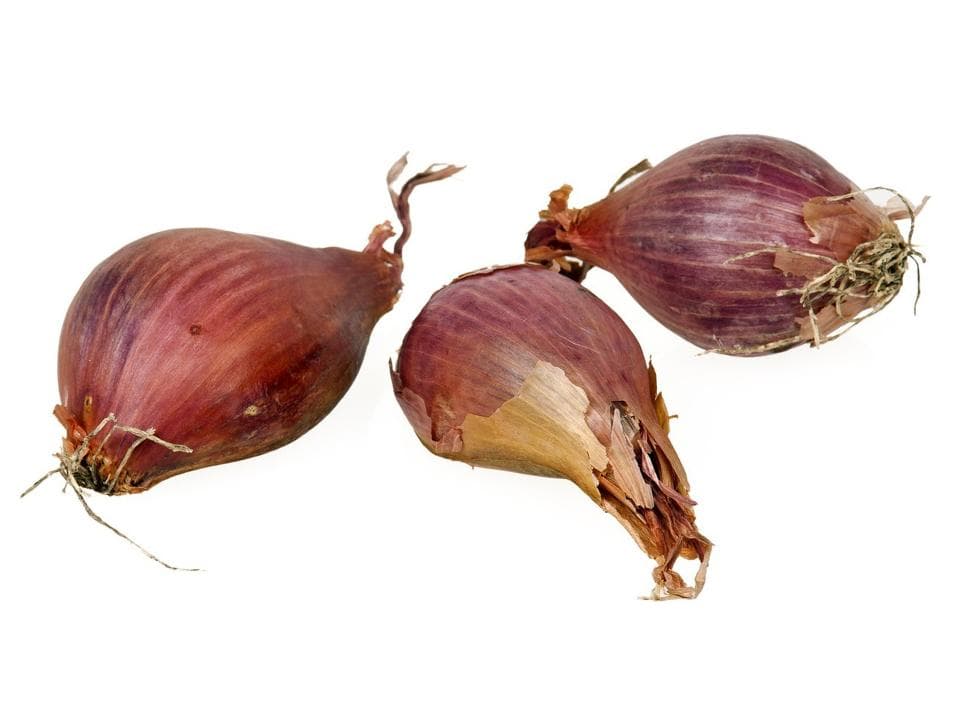Scalogno biologico