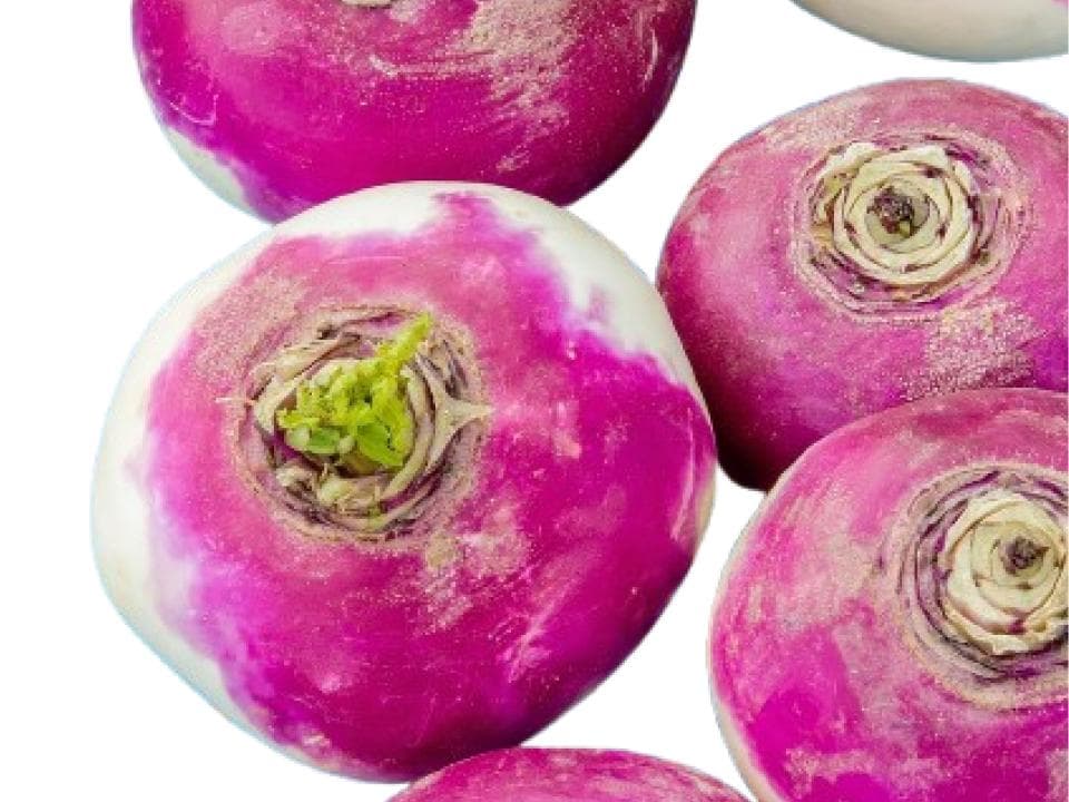 Rape dal colletto viola biologiche