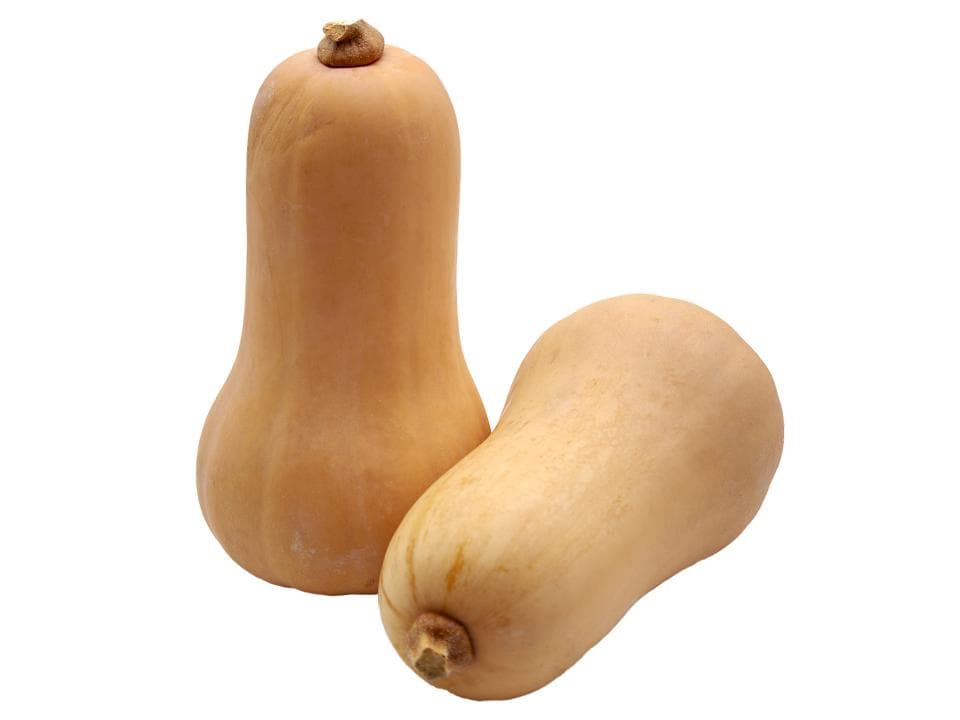 Zucca butternut biologica
