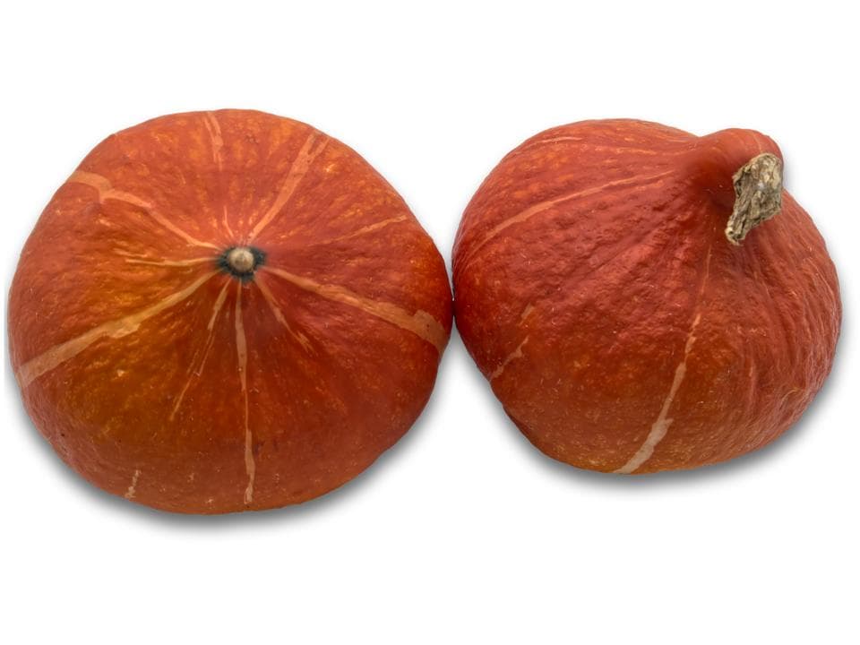 Zucca hokkaido biologica