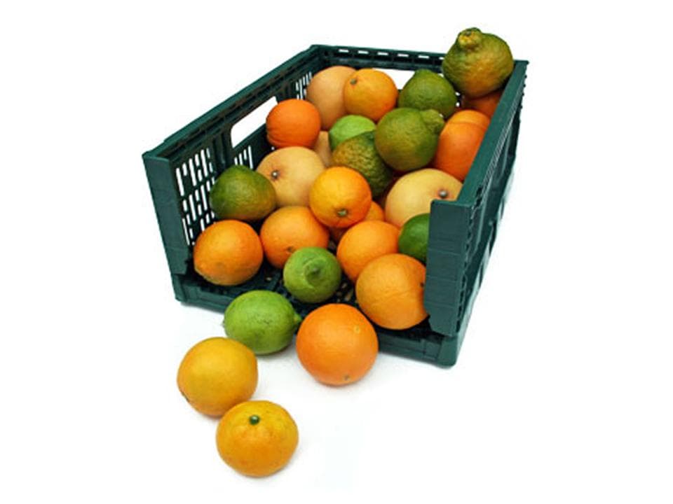 Cassettina in plastica di misto agrumi biologici in proporzione variabile da 6kg