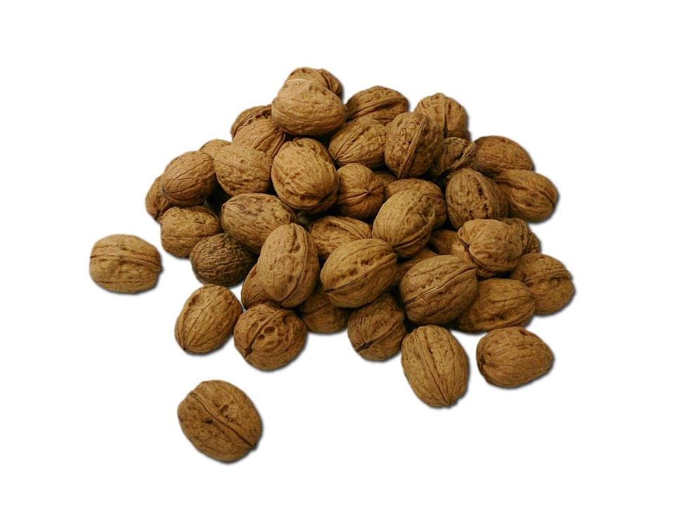 Noci con guscio biologiche
