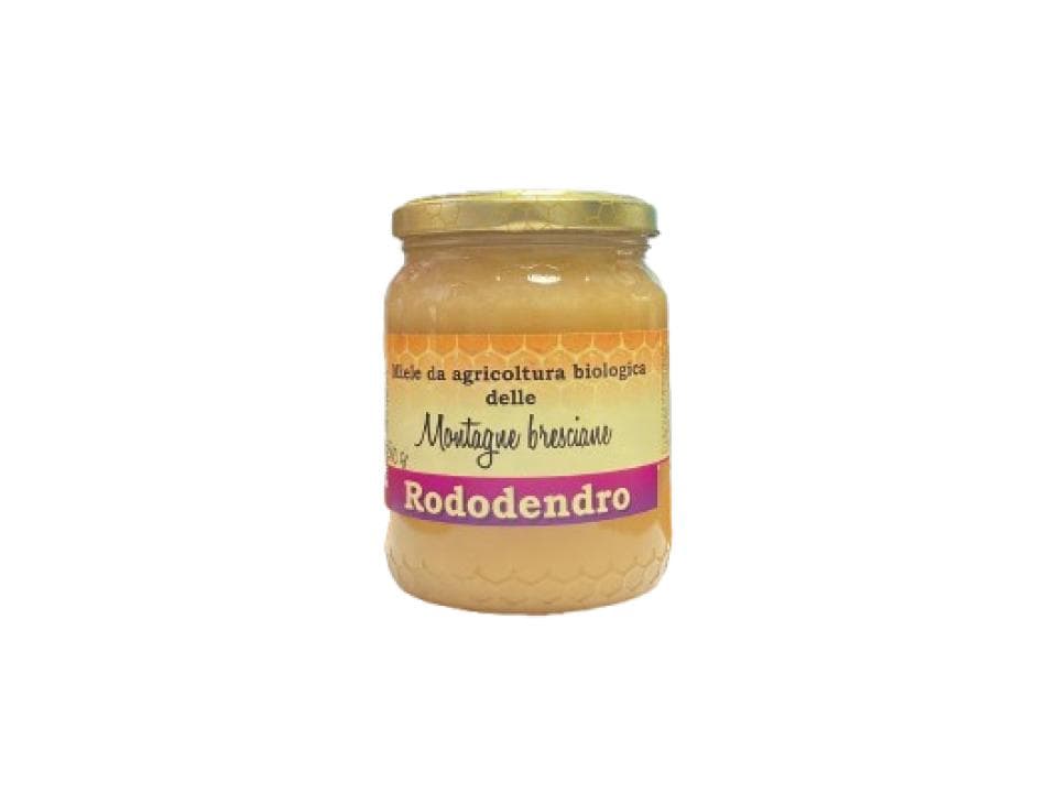 Vasetto in vetro di miele di rododendro bio (500g)