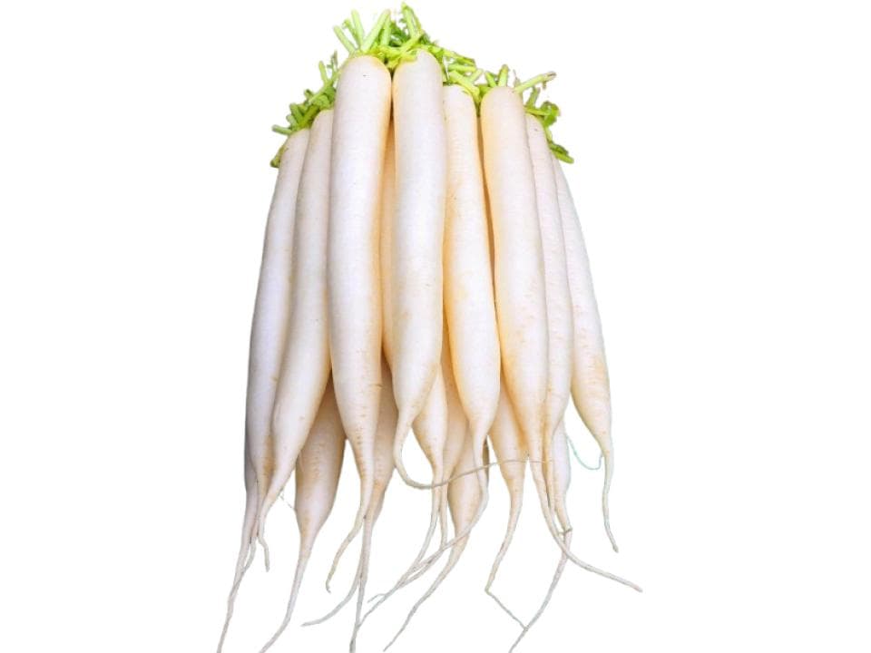 Daikon biologici