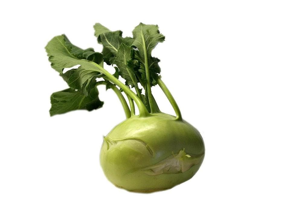 Cavolo rapa biologico