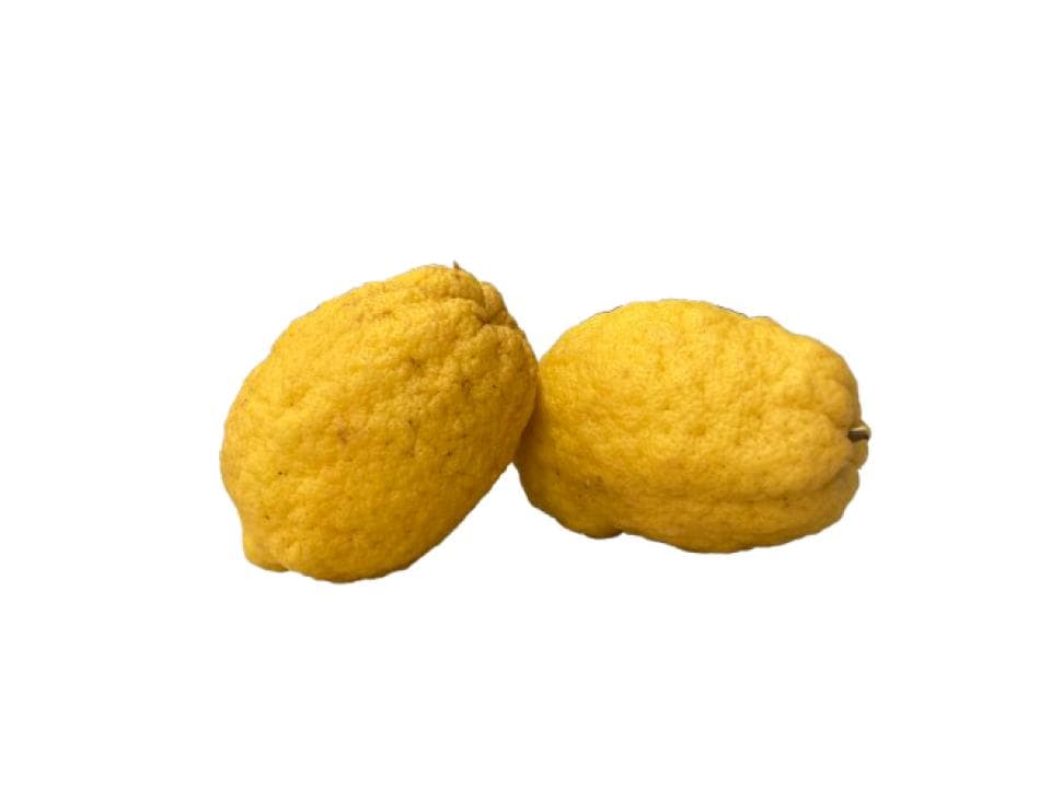 Cedro biologico
