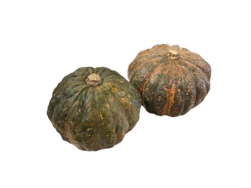 Zucca iron cup biologica