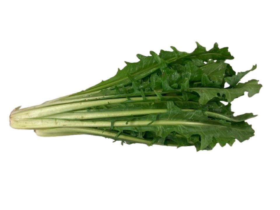 Cicoria catalogna biologica