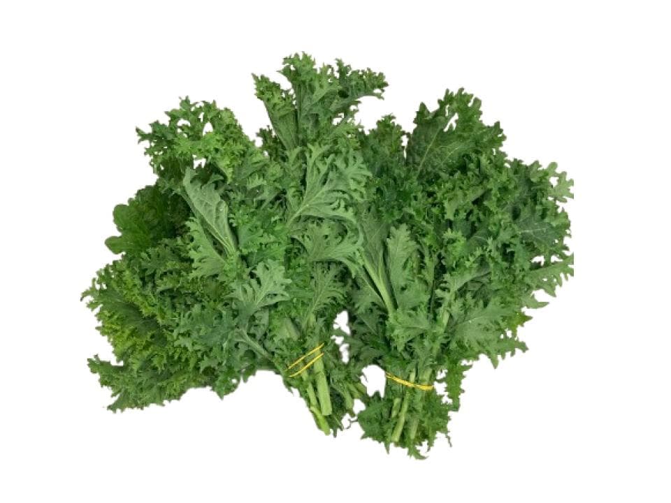 Wasabino bio