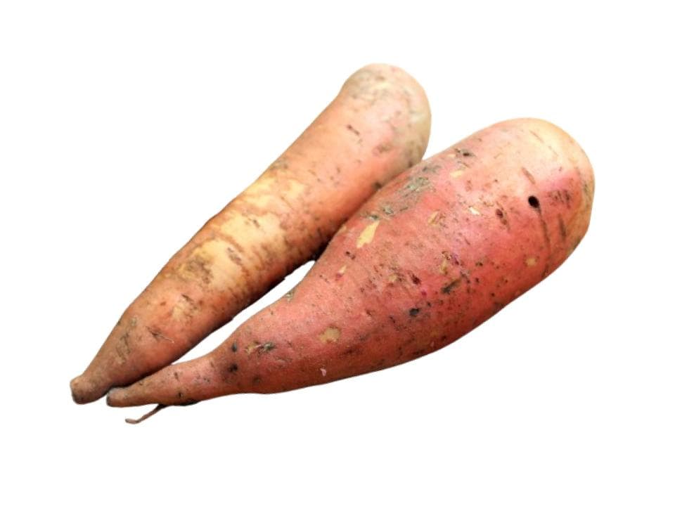 Batata arancione biologica