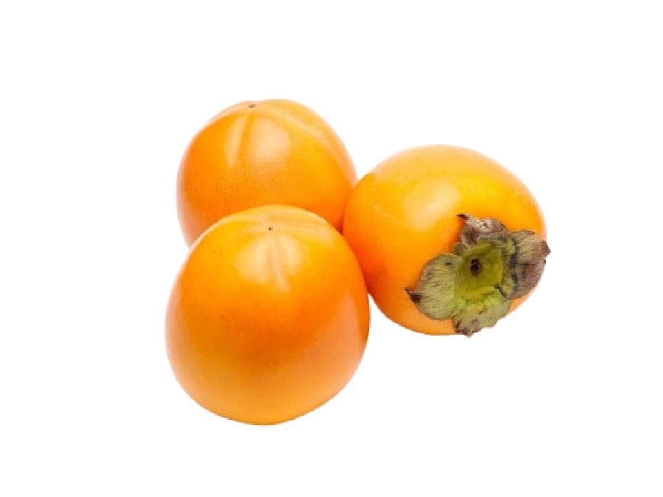 Cachi biologici