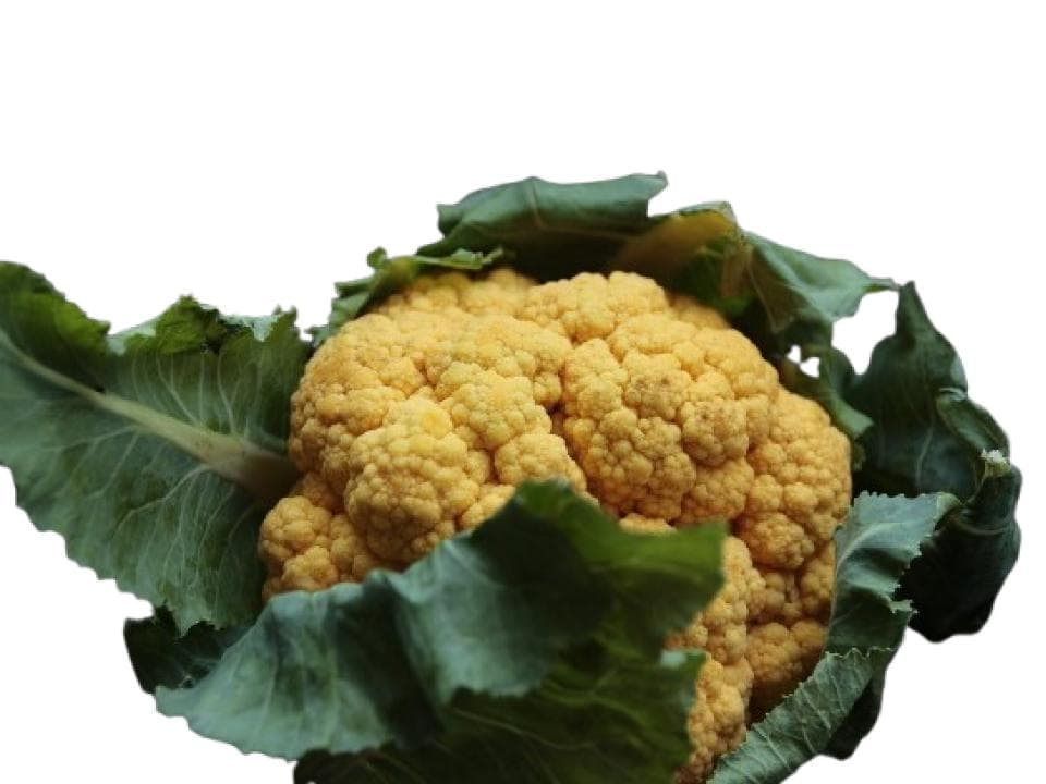 Cavolfiore giallo biologico
