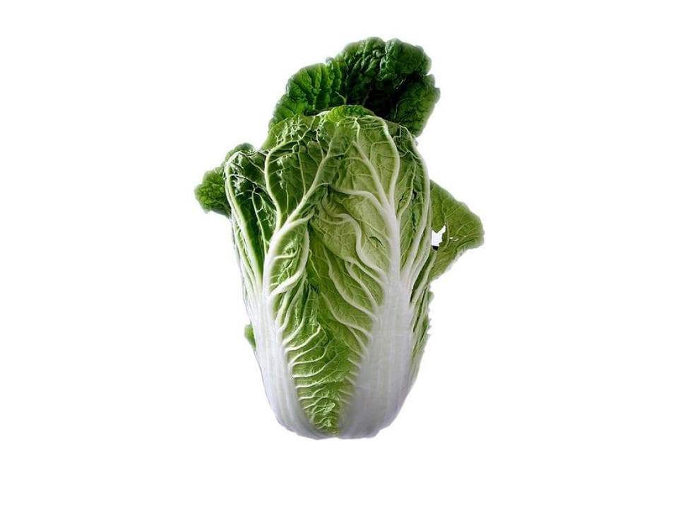 Cavolo cinese biologico