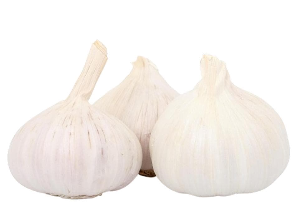 Aglio bianco bio