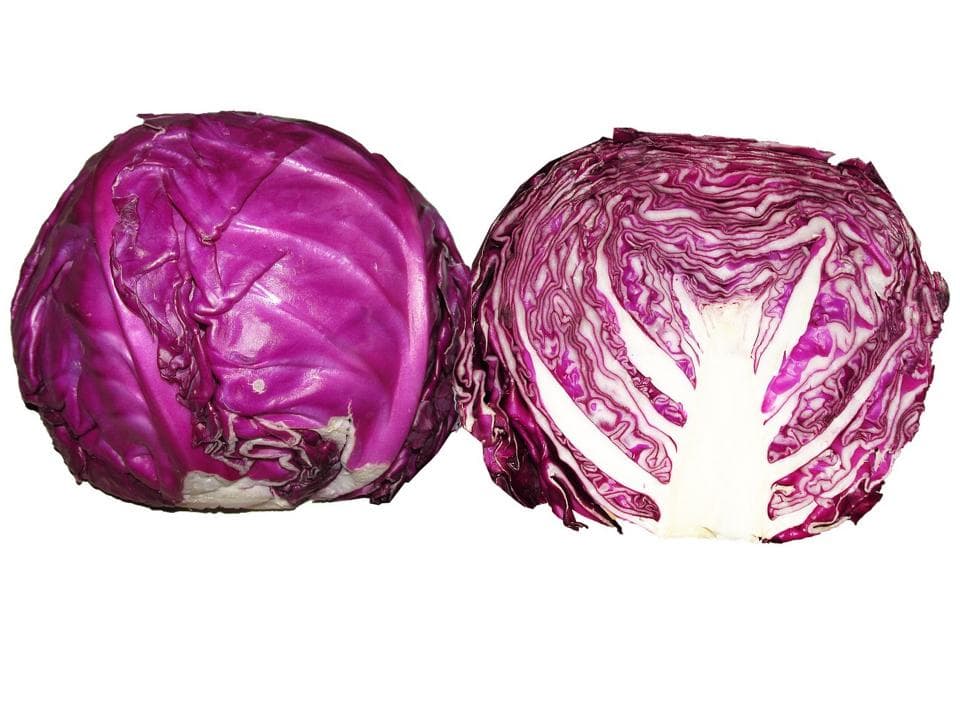 Cavolo cappuccio rosso biologico