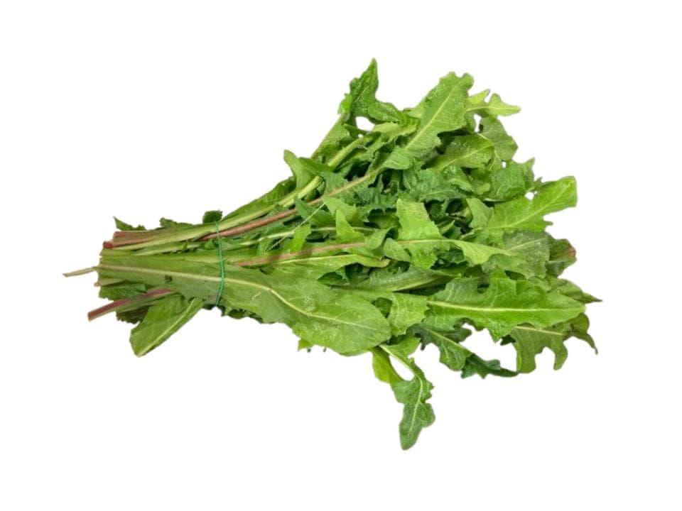 Radicchio da campo biologico