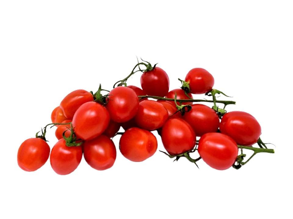 Pomodoro piccadilly biologico
