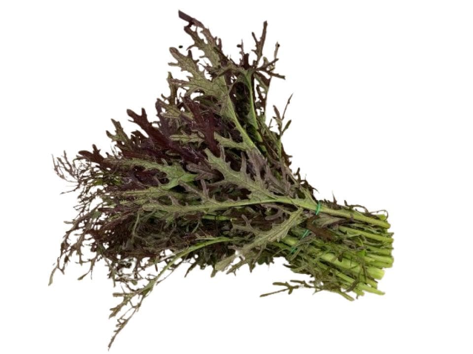 Mizuna biologica