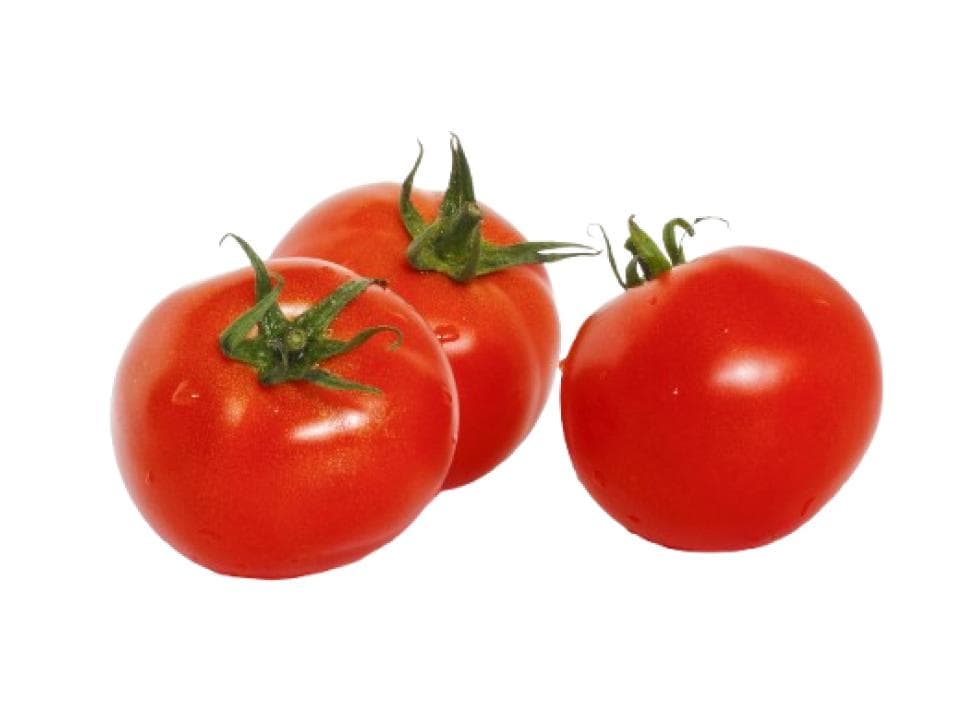 Pomodoro tondo biologico