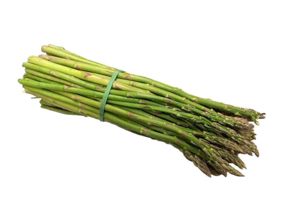 Asparagina biologica