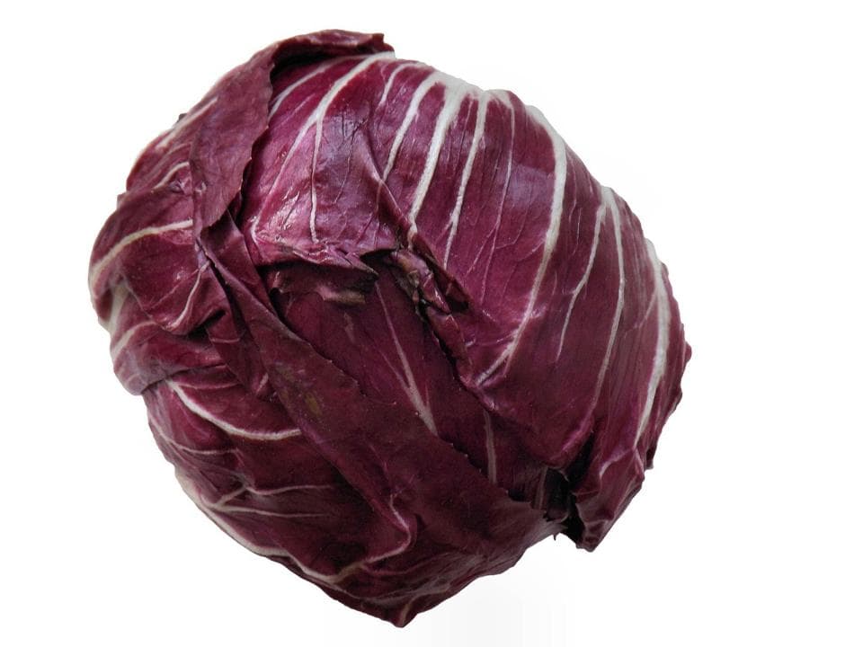 Radicchio rosso tondo biologico