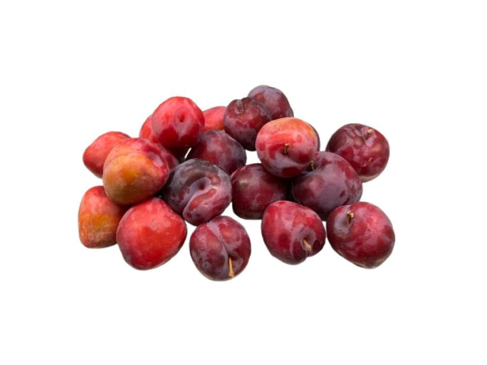 Susine precoci biologiche