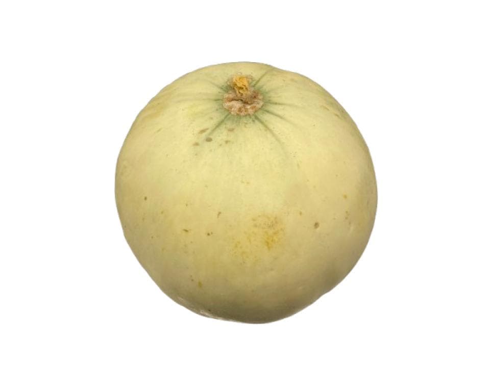 Melone liscio biologico