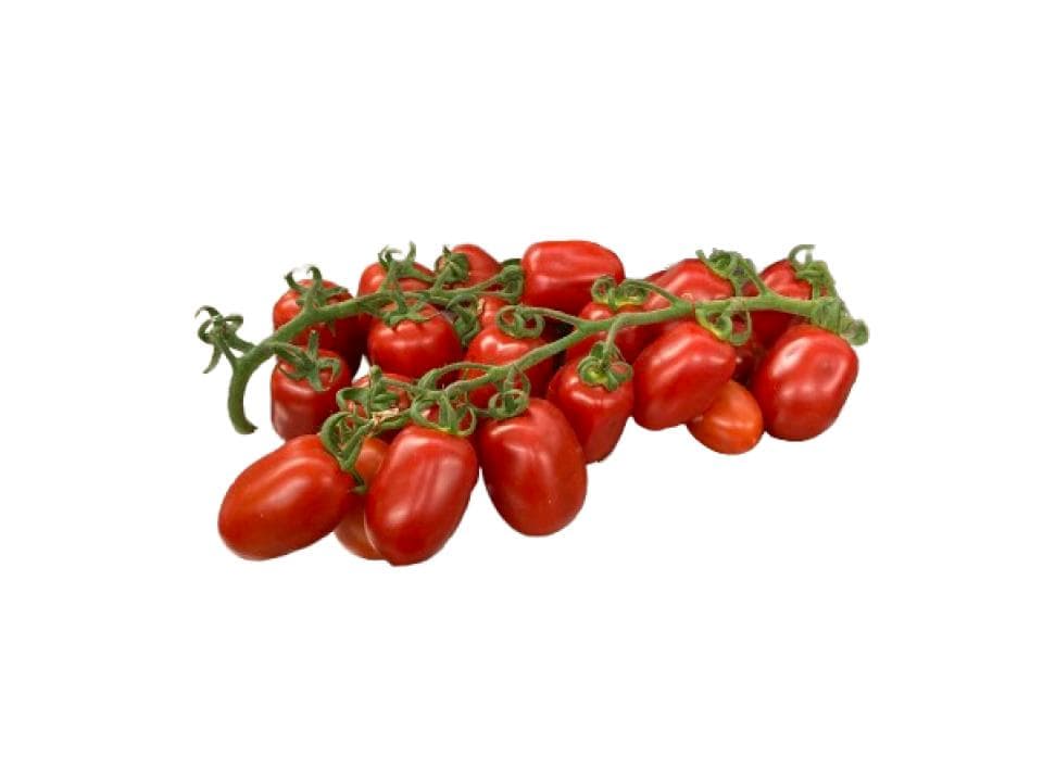 Pomodoro piccadilly biologico