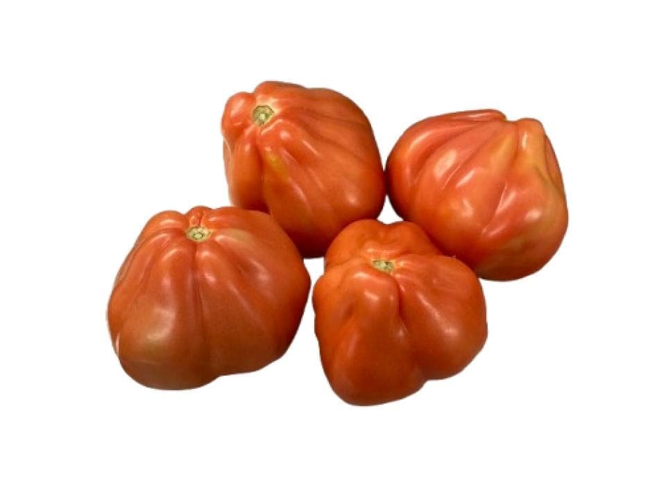 Pomodoro cuore di bue biologico