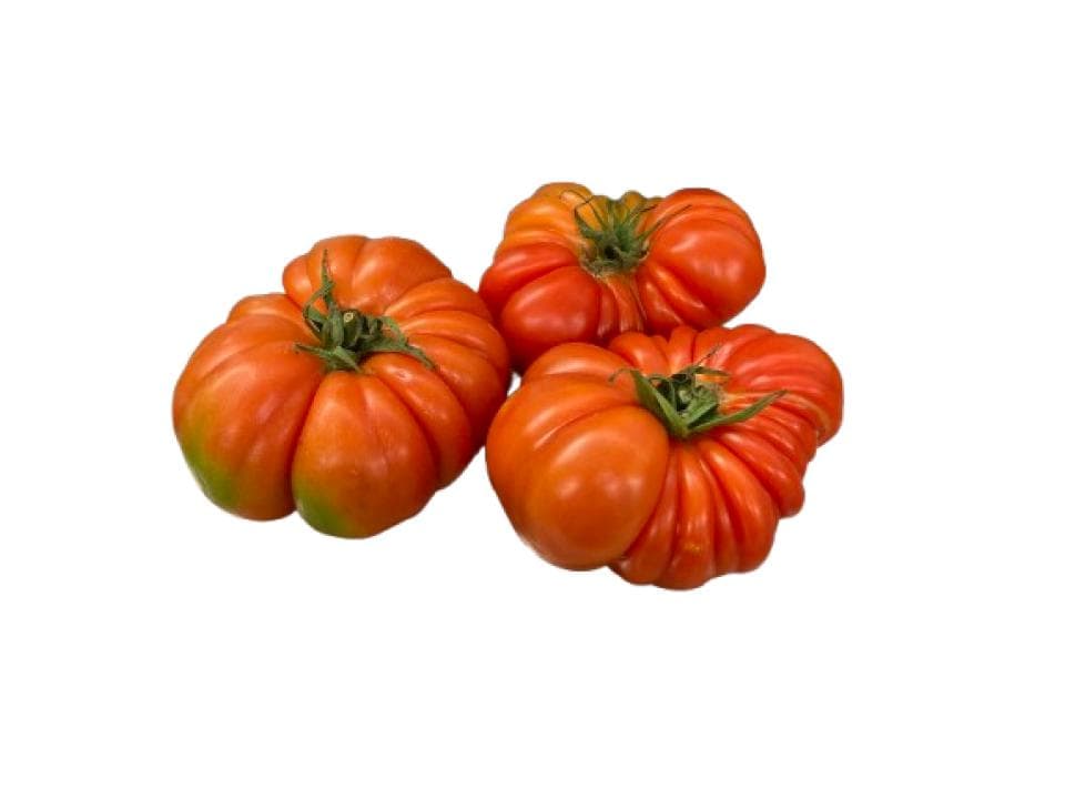 Pomodoro costoluto biologico