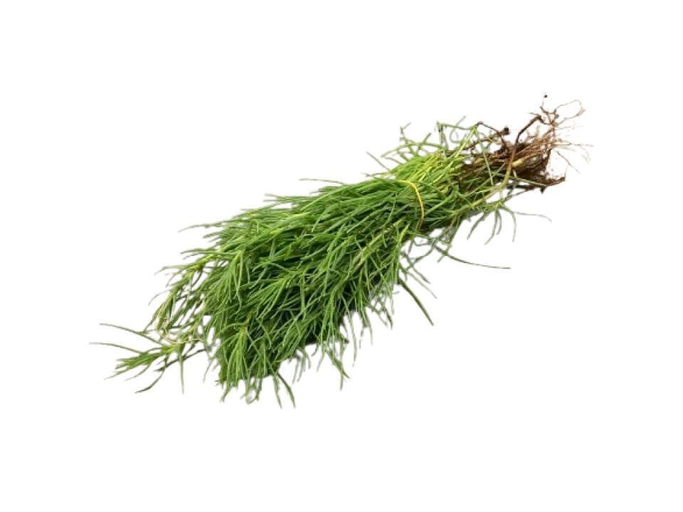 Agretti biologici