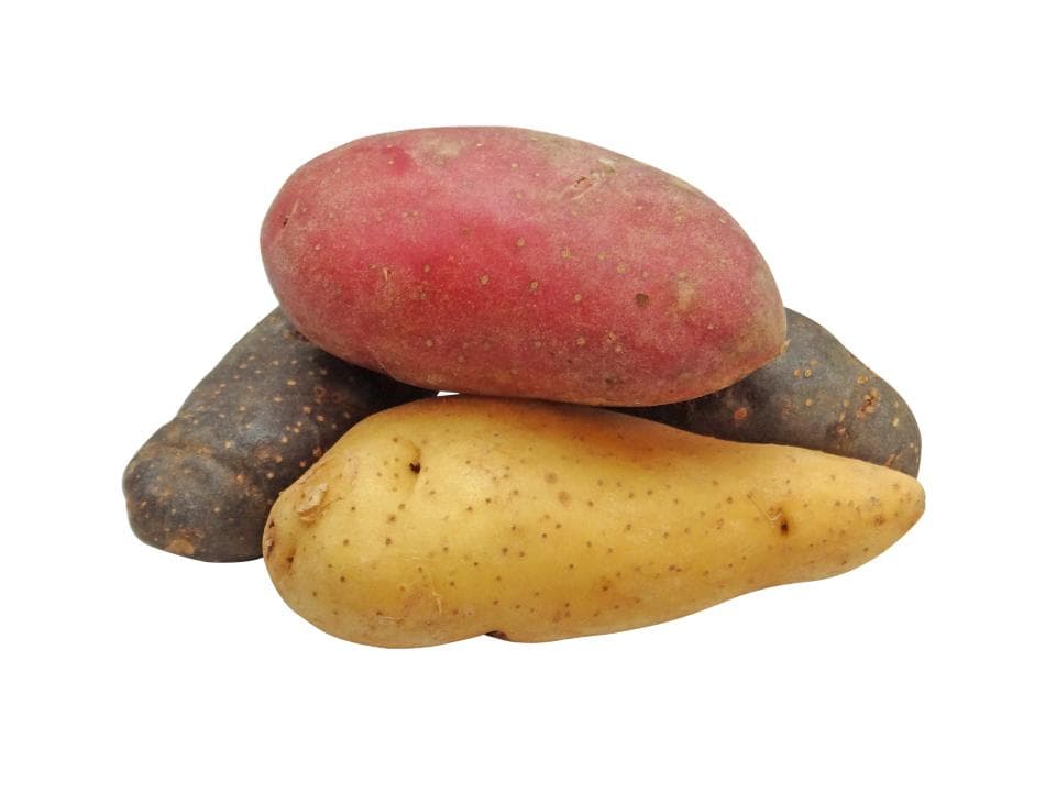 Patate biologiche