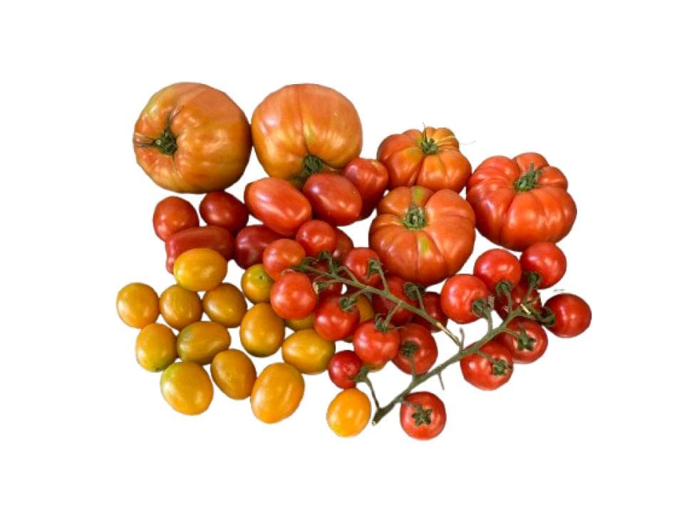 Pomodori mix biologici