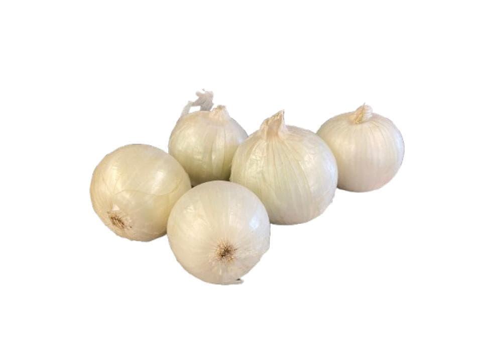 Cipolla bianca biologica